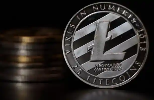 What is LTC